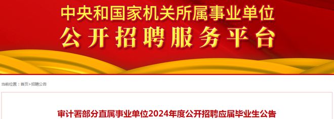 元宝区审计局最新招聘公告全面解读