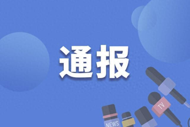 炭步镇最新招聘信息详解及深度解读