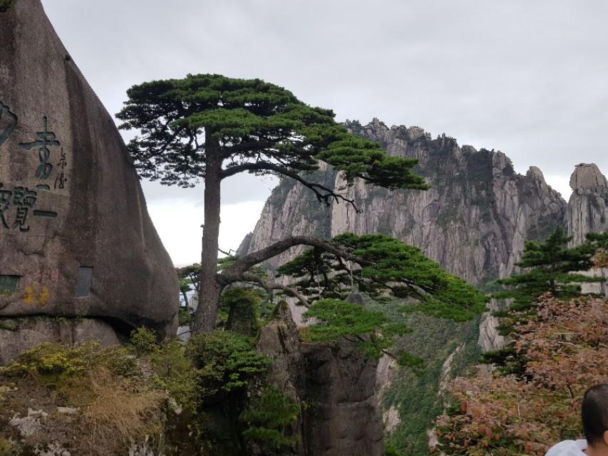 摆渡镇新项目，地区发展的强大引擎引领力量