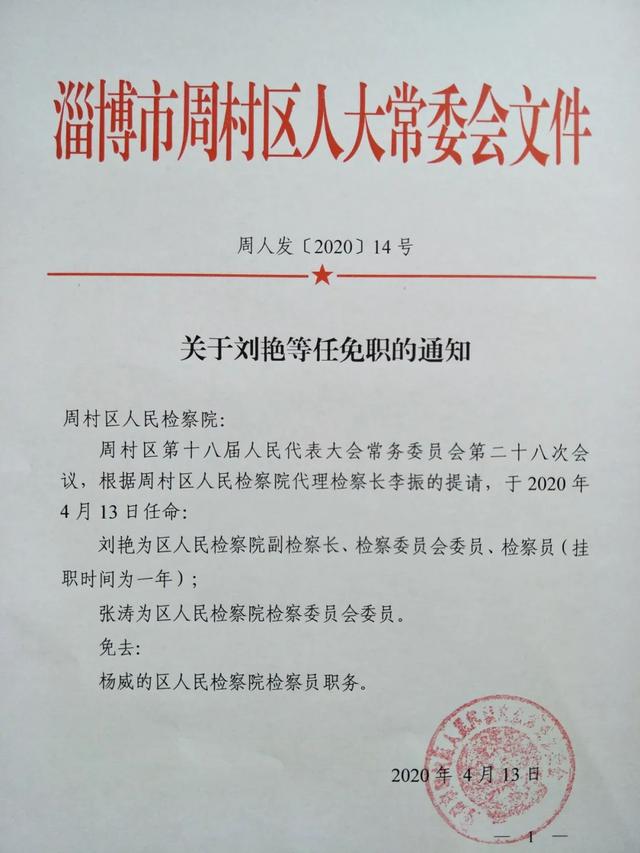 秦庄村委会人事重塑，最新任命引领乡村治理新格局