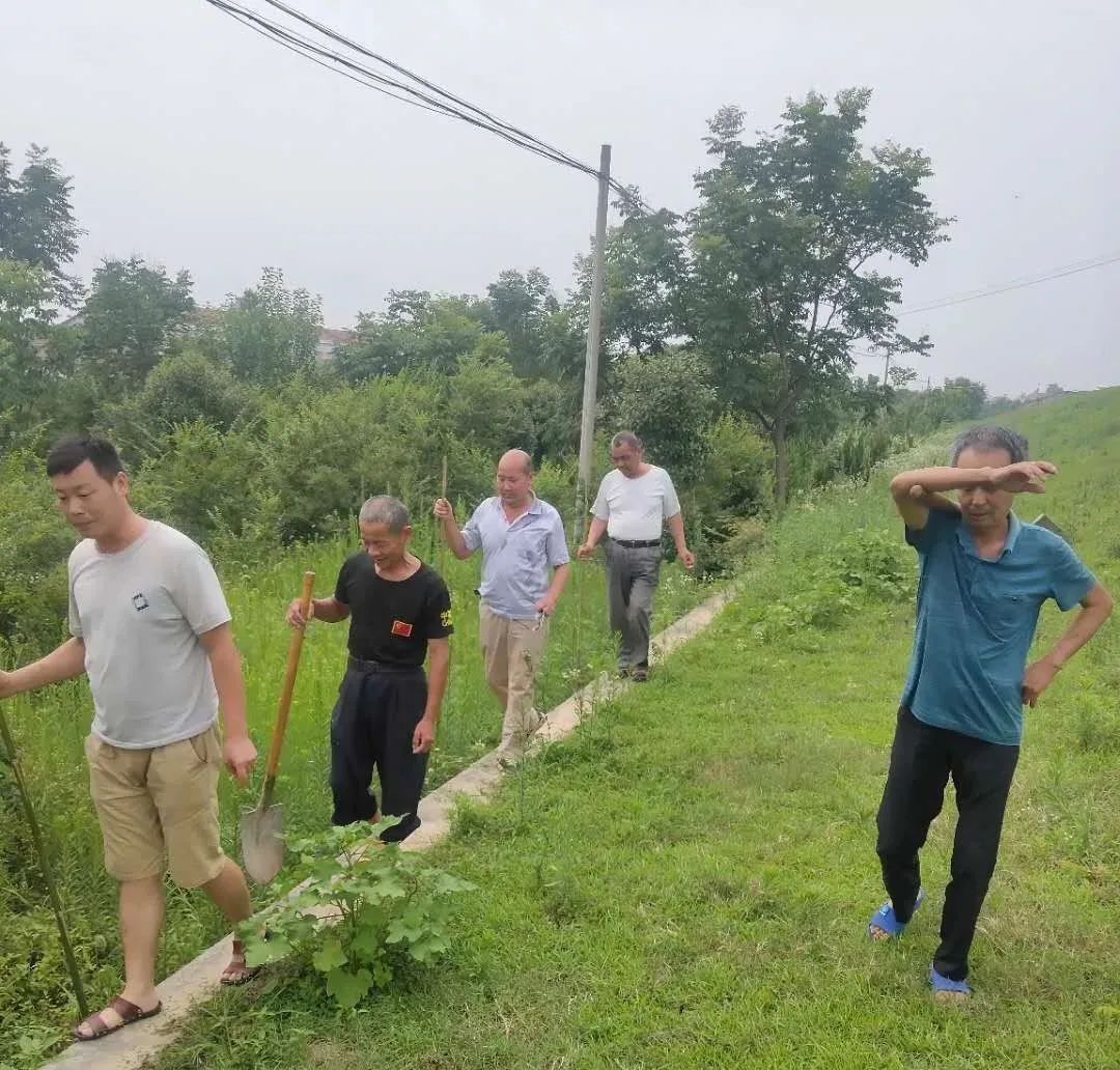 小荆村最新资讯报道