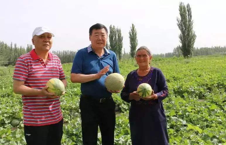 伽师县农业农村局新闻发布，乡村振兴与农业现代化同步推进