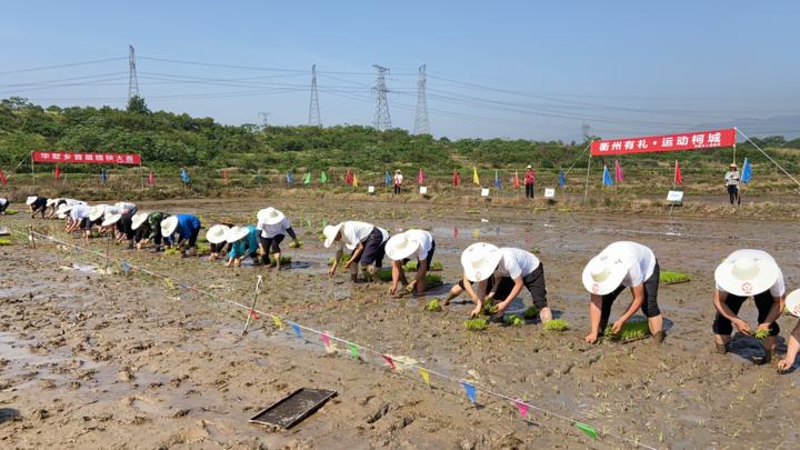 华墅乡未来蓝图，最新发展规划塑造乡村新面貌