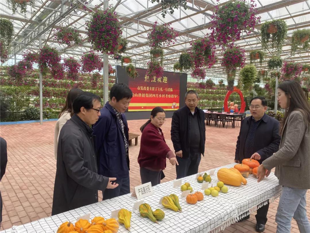 黄岛区农业农村局最新领导团队，引领农业新发展，塑造乡村新面貌