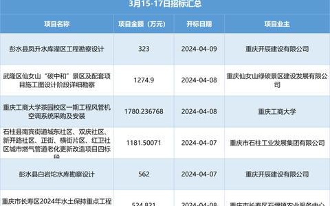 巴南区计划生育委员会新项目及其社会影响分析