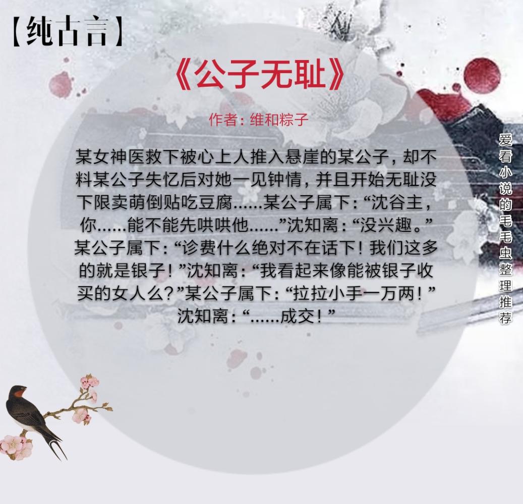 公子无耻小说，揭秘魅力与影响最新报道