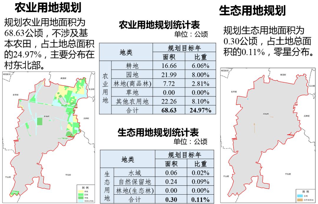 洛马村未来繁荣新篇章，发展规划引领乡村新面貌