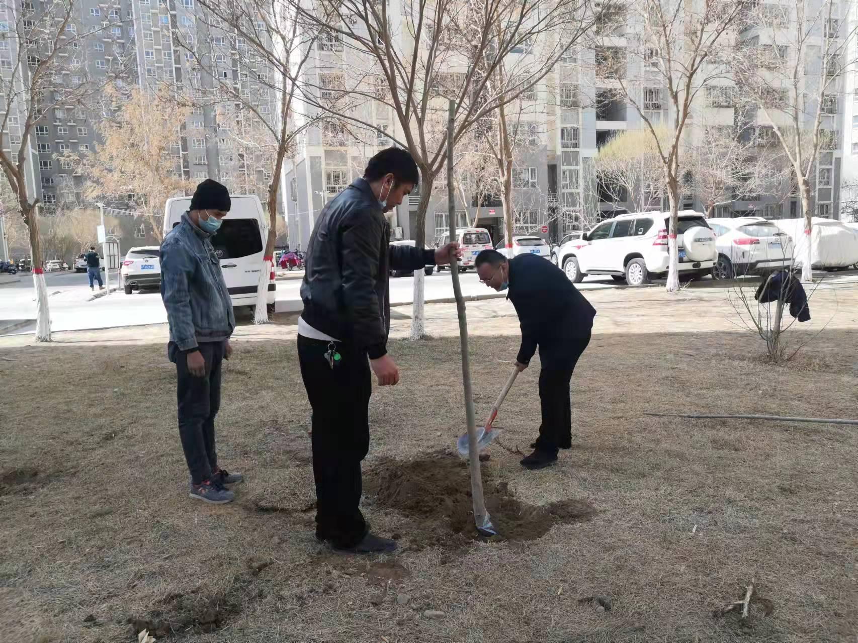 库尔勒市审计局最新项目，聚焦审计变革，推动城市高质量发展