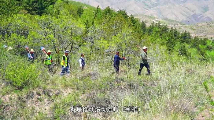 内下林场绿色发展新时代步伐的最新探索新闻