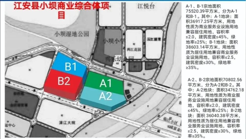 2024年12月26日 第6页