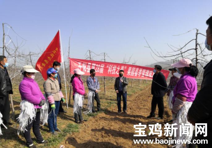 凤县科技局发展规划引领未来科技发展新蓝图