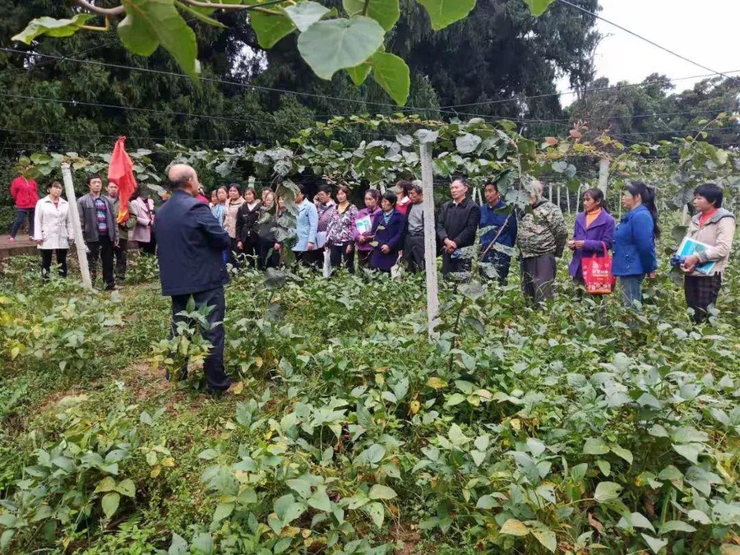 红彤村最新动态报道