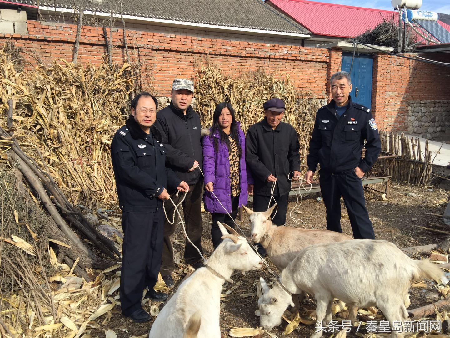 三拨子乡最新交通动态报道