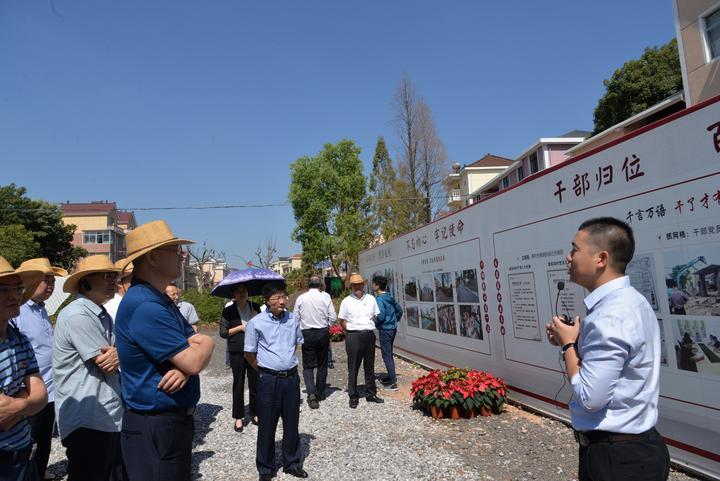 大陈乡最新发展规划，塑造乡村新貌，推动可持续发展进程