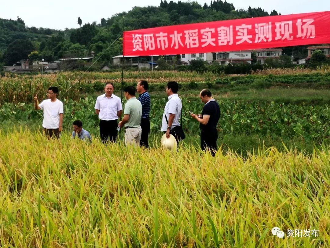 资阳市企业调查队最新动态报道