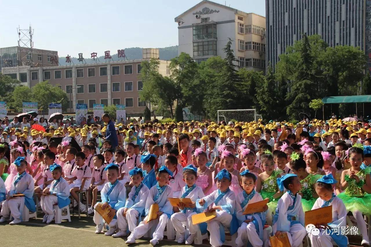 沁水县小学最新招聘公告概览