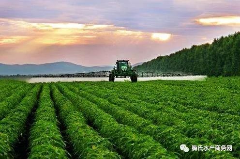 胶南市农业农村局新项目推动农业现代化，乡村振兴再添动力