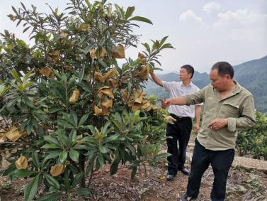 半坡乡，共融共治绘就乡村新画卷