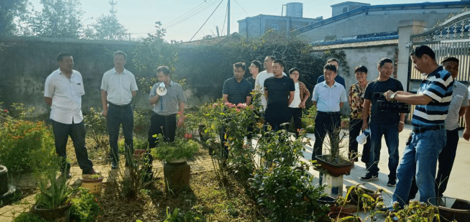 常坟镇领导团队新阵容，引领未来，铸就辉煌成就