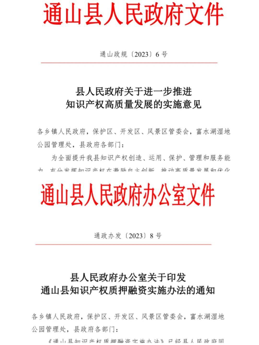 通山县人民政府办公室人事任命公告发布最新公告