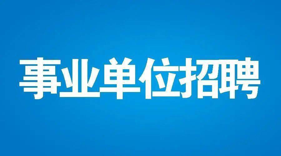 运城市人事局最新招聘信息全面解析