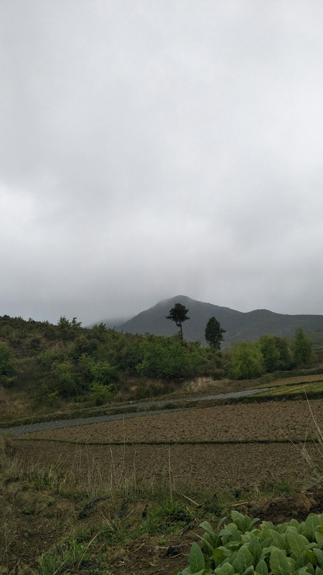 白果村天气预报更新通知