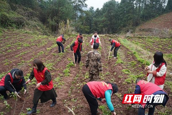 古丈县退役军人事务局新项目，重塑荣耀，共筑未来之梦