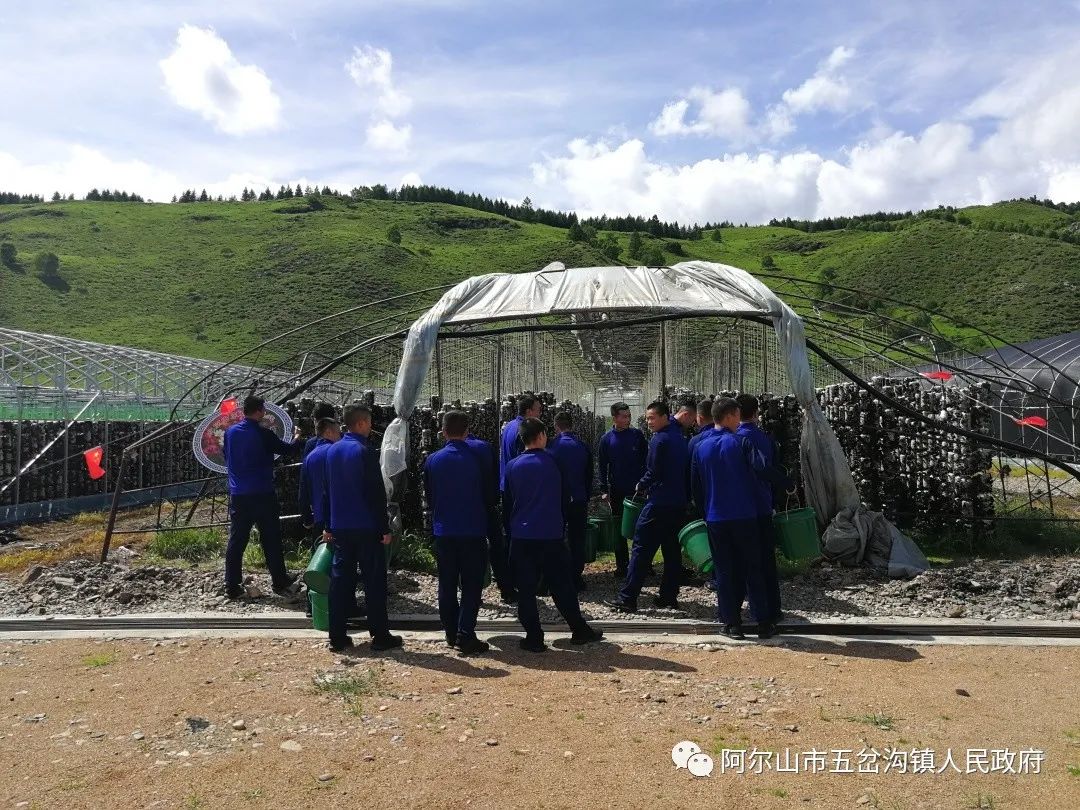 石人沟乡新项目，乡村发展的强大引擎驱动力