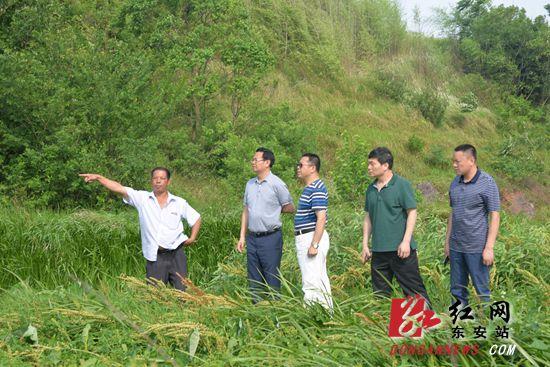 廖家村交通新动态，发展带动村庄面貌焕新颜